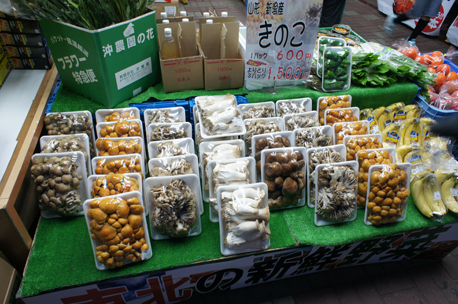 DSC00887