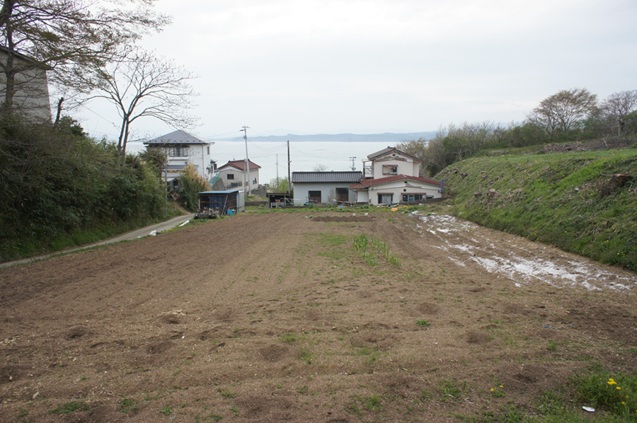 DSC00352